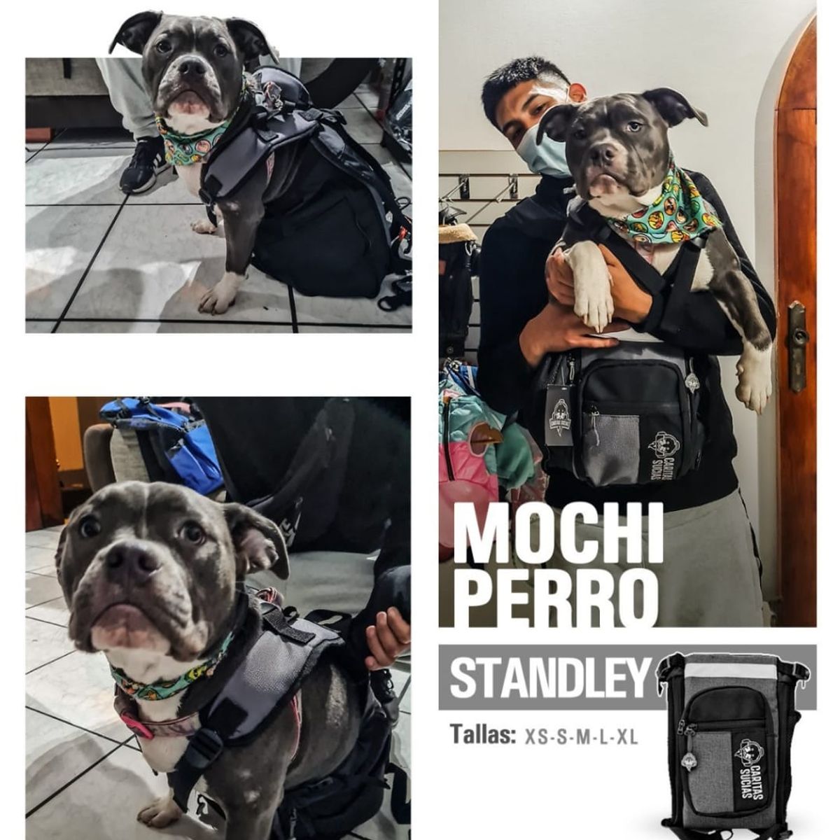 GENERICO - MOCHIPERRO STANDLEY GRIS S