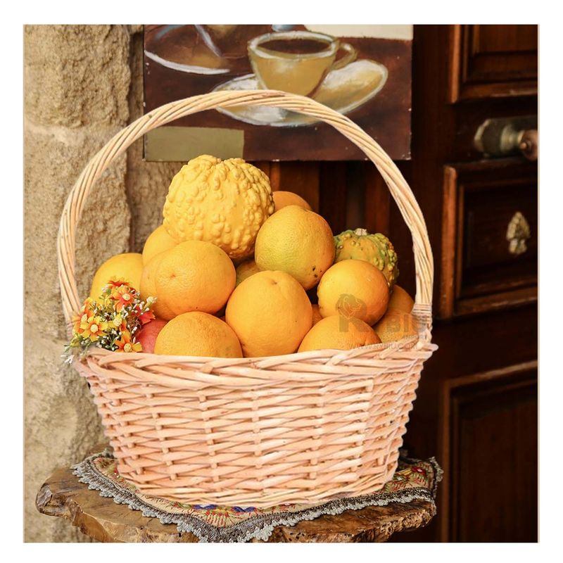 RYBIU IMPORT - Cesta Ideal para ir de Picnic en Marron Y+Gift Stickers