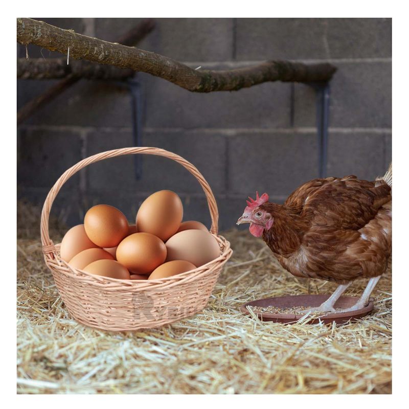 RYBIU IMPORT - Cesta Multiusos para Juguetes en Marron Y+Regalo Agendita
