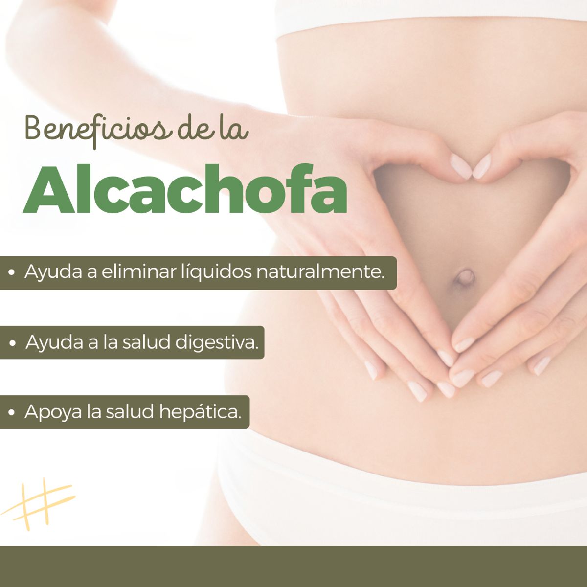 DINOA - Alcachofa de 80g Dinoa- Detox- Salud hepática