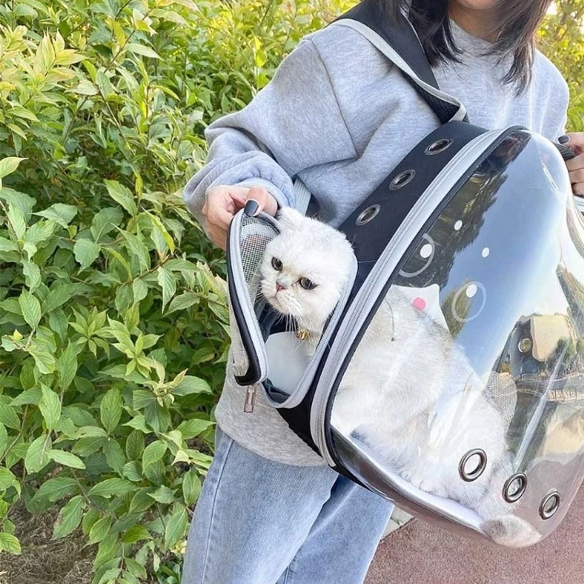 GENERICO - Mochilas para Mascotas para Perros y Gatos Color Negro