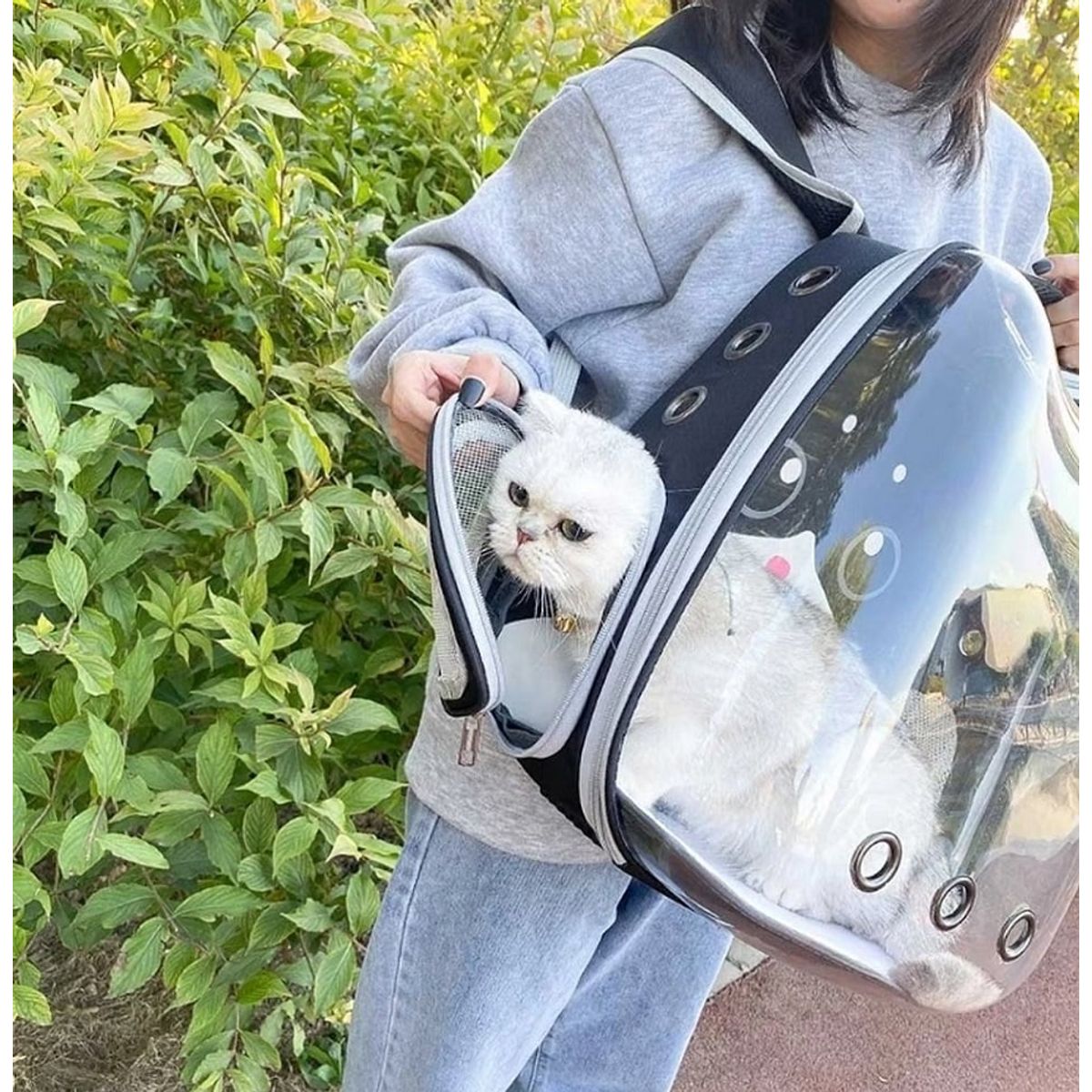 GENERICO - Mochilas para Mascotas para Perros y Gatos Color Negro