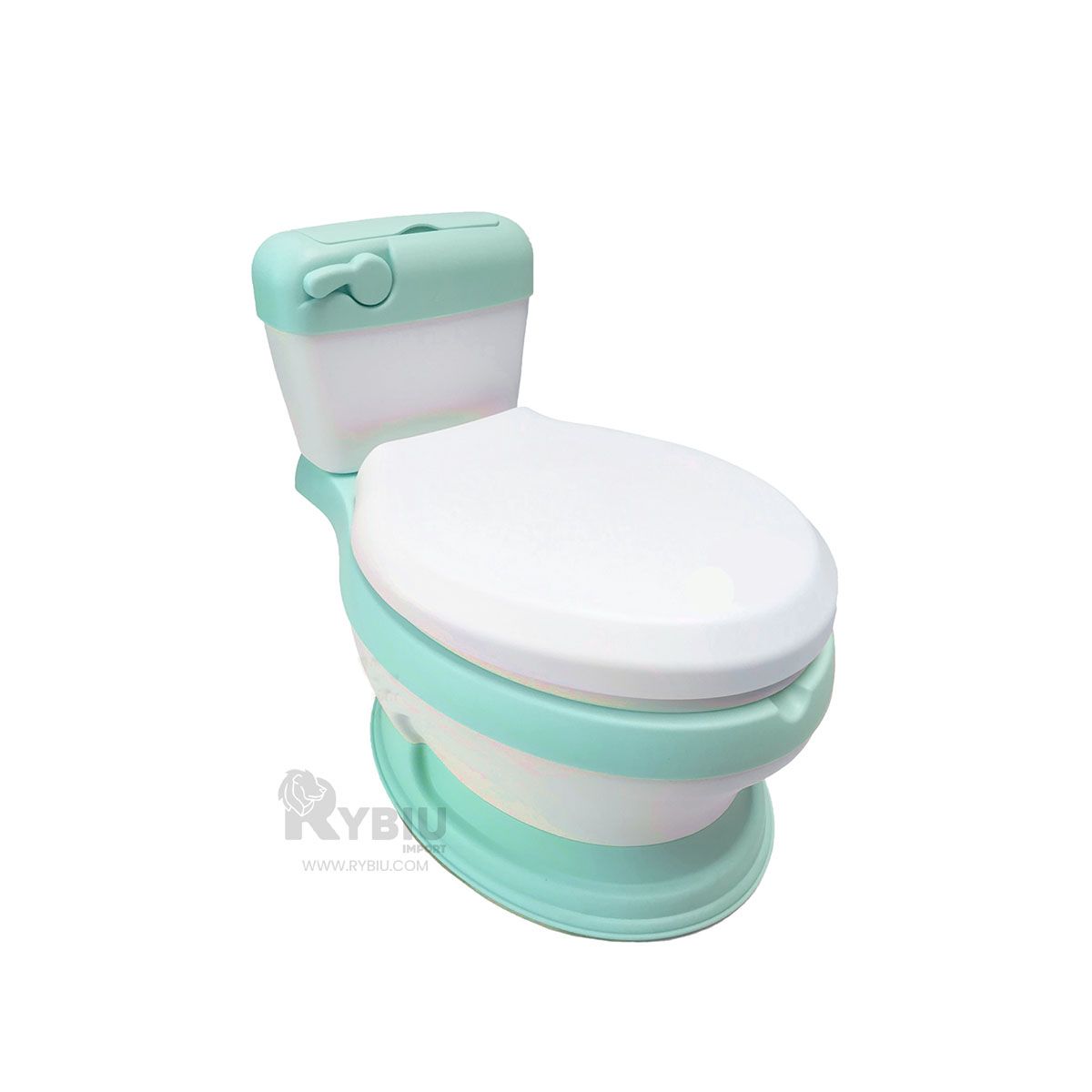 GENERICO - Bacin con Compartimiento Color Verde Y+Envoltorio de Regalo