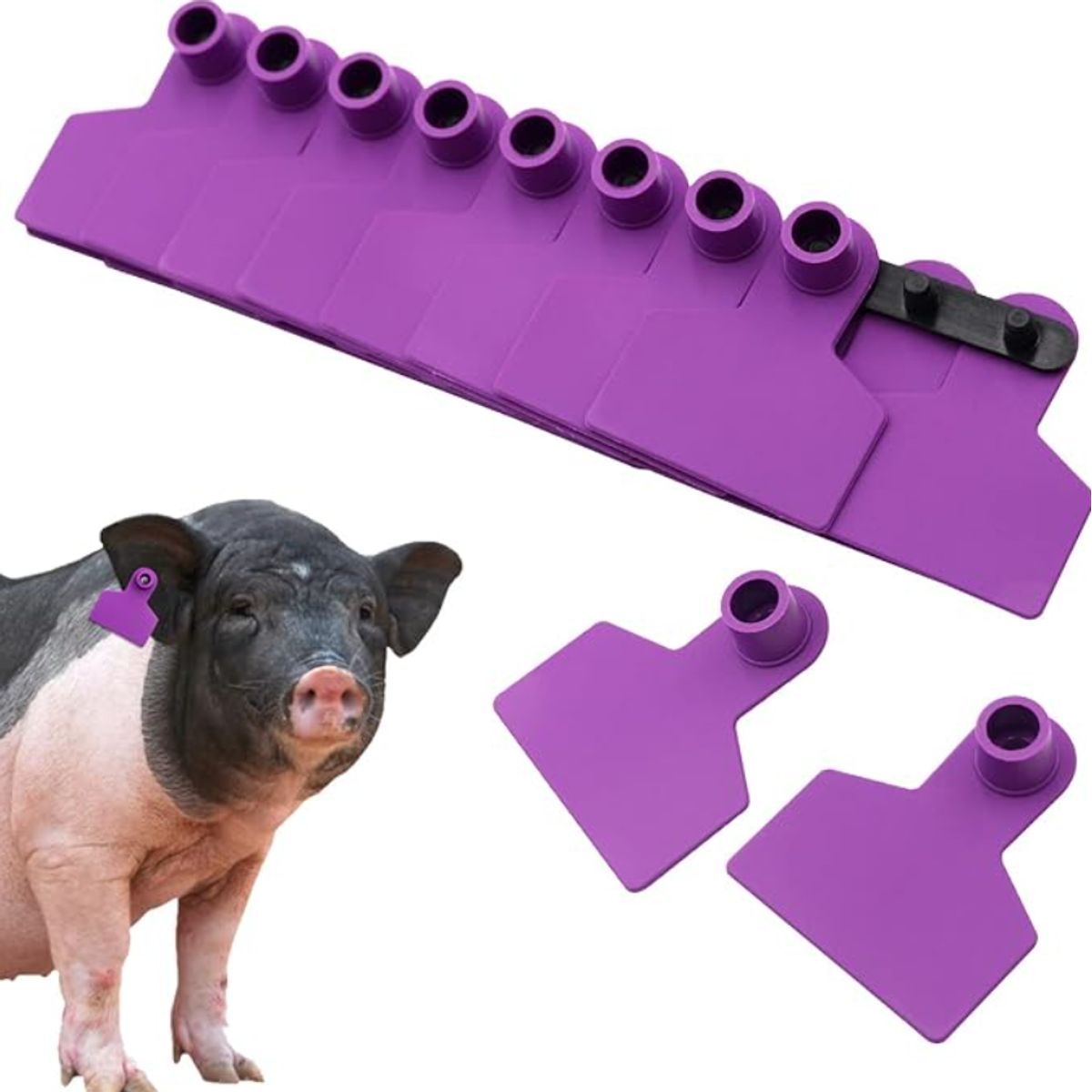 GENERICO - PACK X 100 CROTAL ARETE PARA CERDO MORADO 4X5 CM SIN NUMERAR