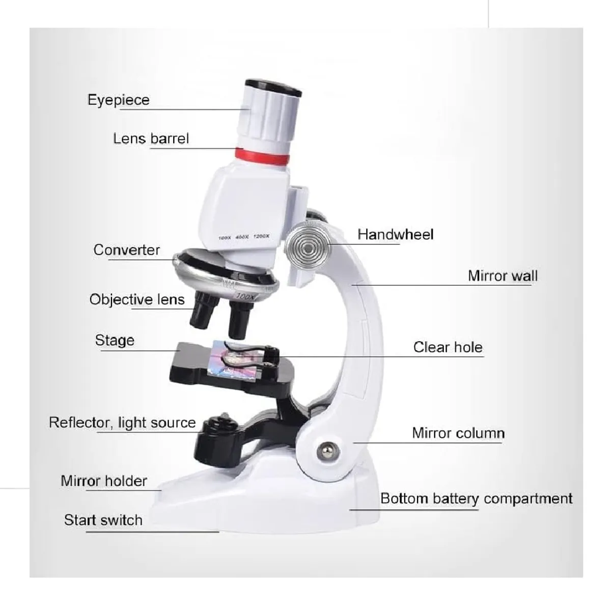 GENERICO - Kit Laboratorio Microscopio 1200X Ciencia Educativo