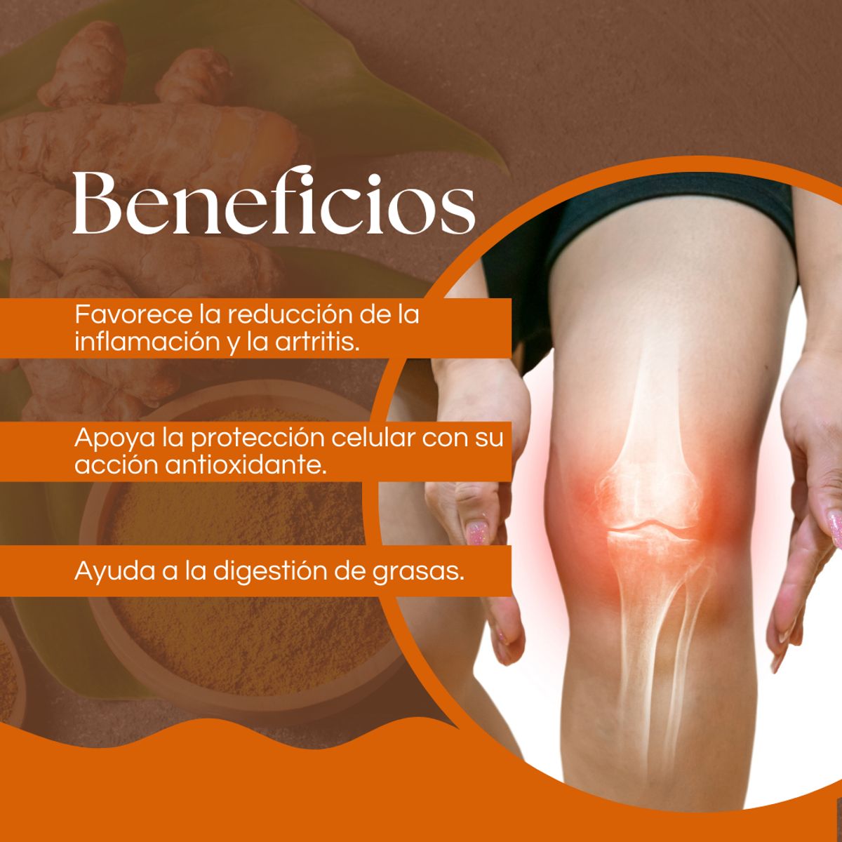 DINOA - Cúrcuma Pote 80gr Dinoa- Antiinflamatorio y antioxidante