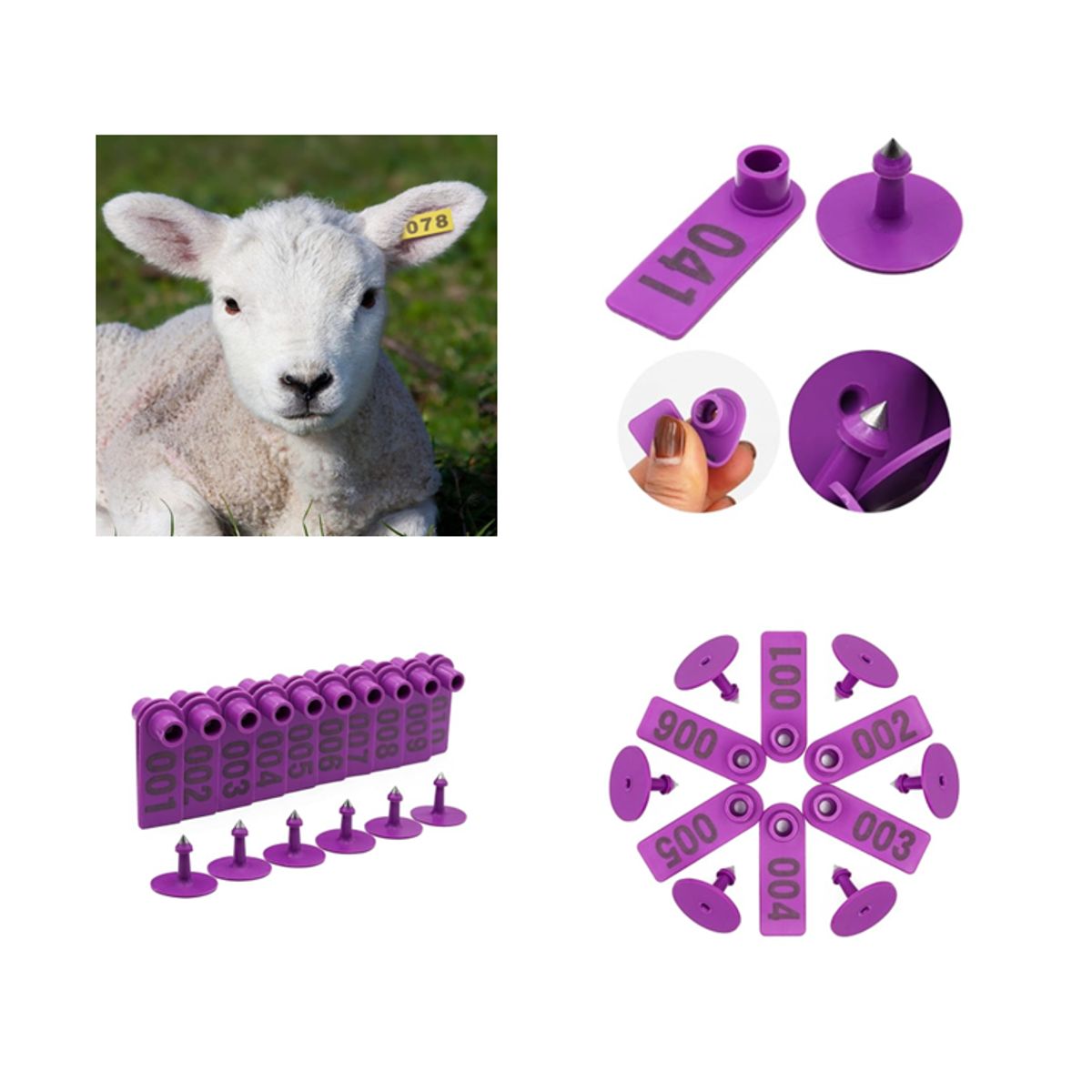 GENERICO - PACK X 100 CROTAL ARETE PARA OVEJA MORADO 1.8X5 CM NUMERADO