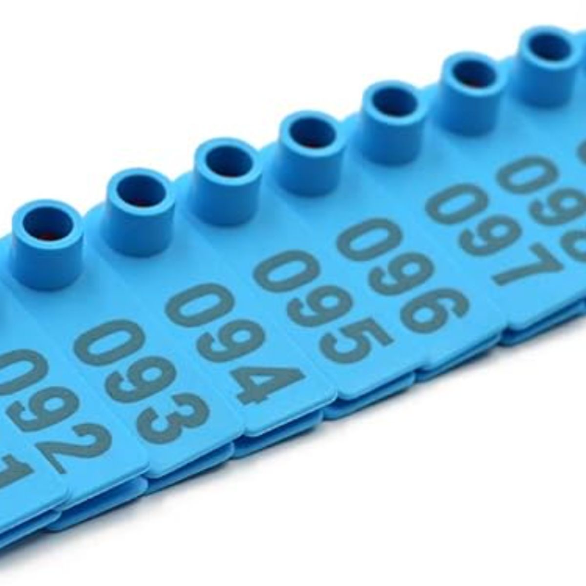 GENERICO - PACK X 100 CROTAL ARETE PARA OVEJA CELESTE 1.8X5 CM NUMERADO