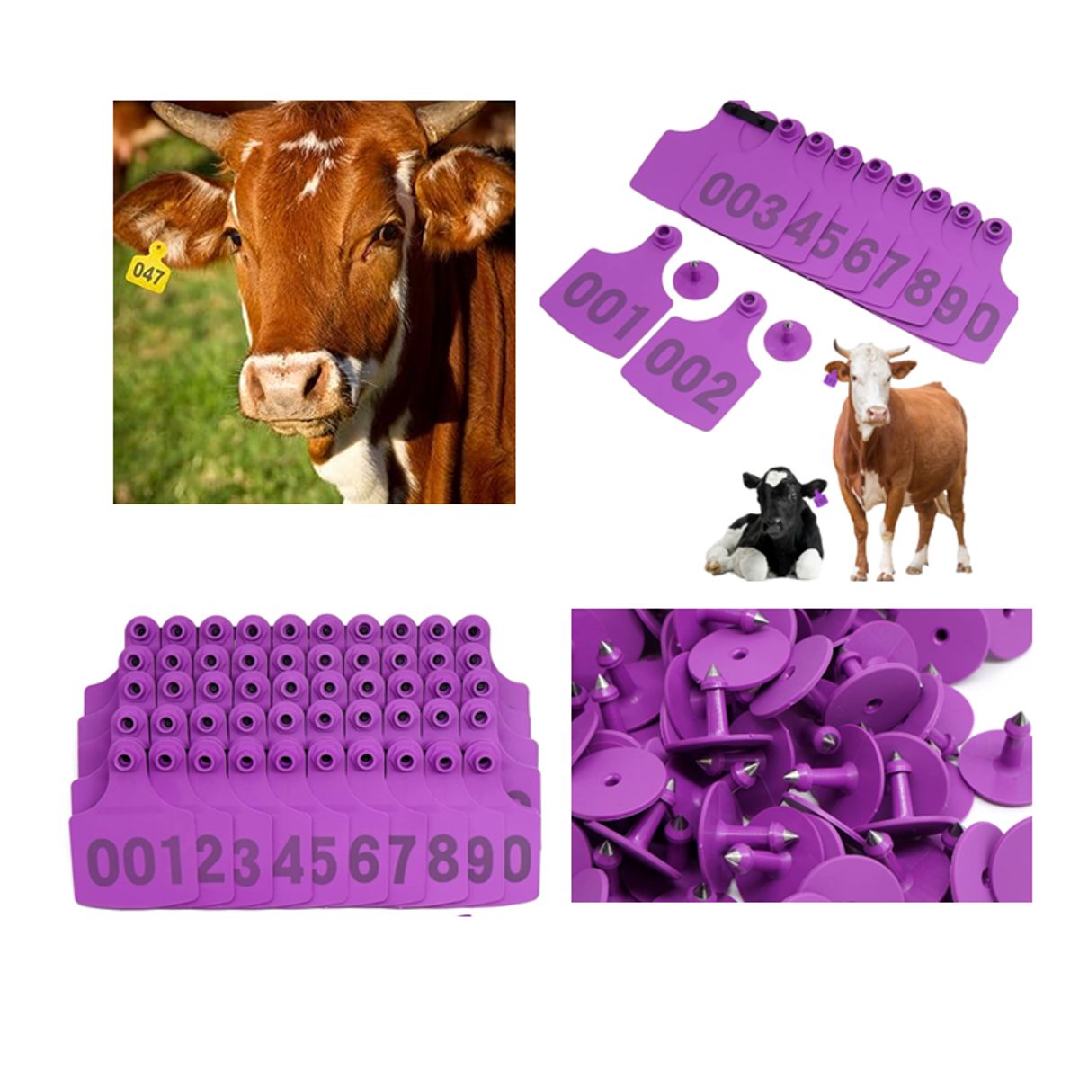 GENERICO - PACK X 100 CROTAL ARETE PARA VACA MORADO 7.5X10 CM NUMERADO