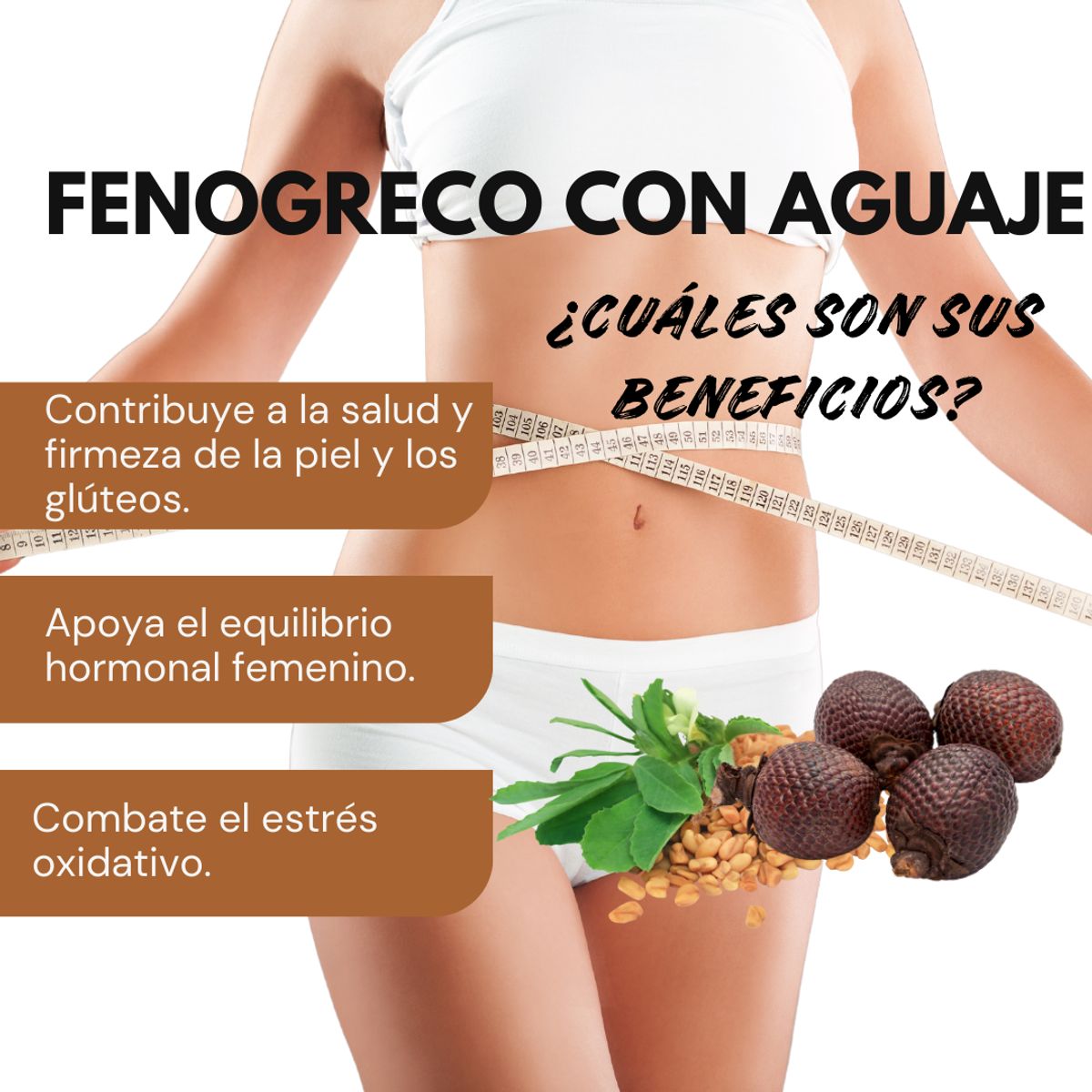 DINOA - Fenogreco Cápsulas x 100 Dinoa -Equilibrio hormonal – Feminidad natural