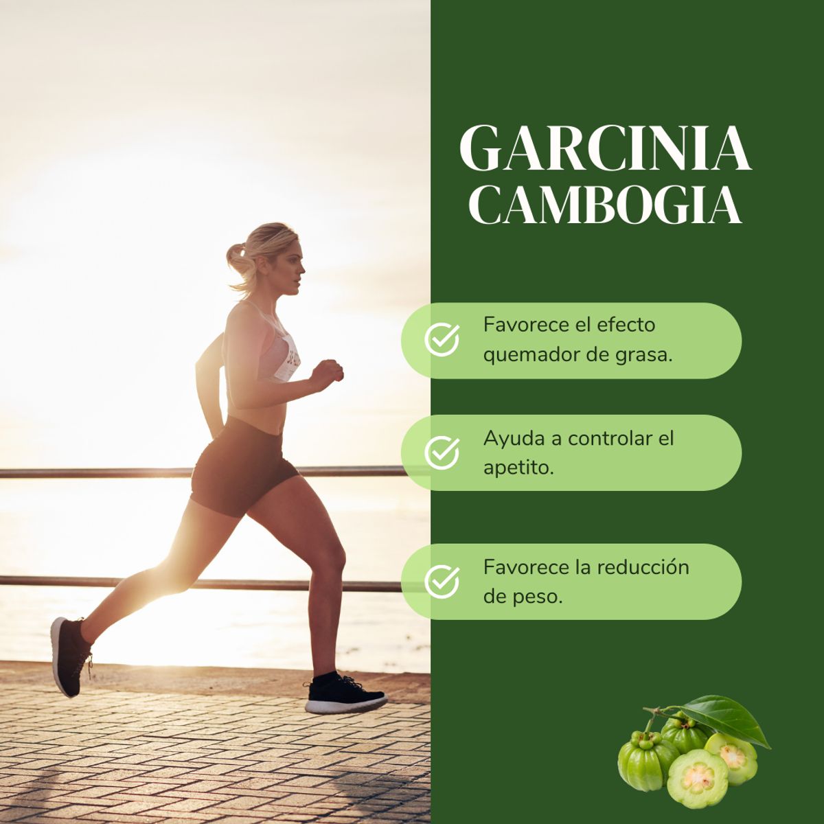 DINOA - Garcinia Cambogia Pote de 80gr Dinoa -Control del peso - Saciedad