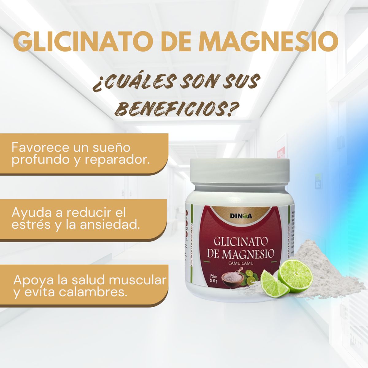 DINOA - Glicinato de Magnesio Pote de 80gr Dinoa - Equilibrio - Relajación Natural