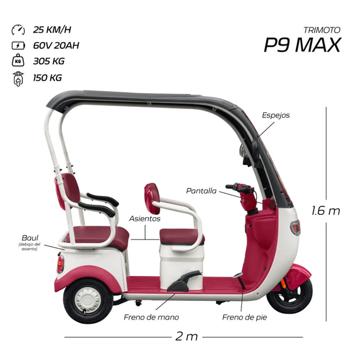 GENERICO - TRIMOTO  ELECTRICA P9 MAX EBIKER