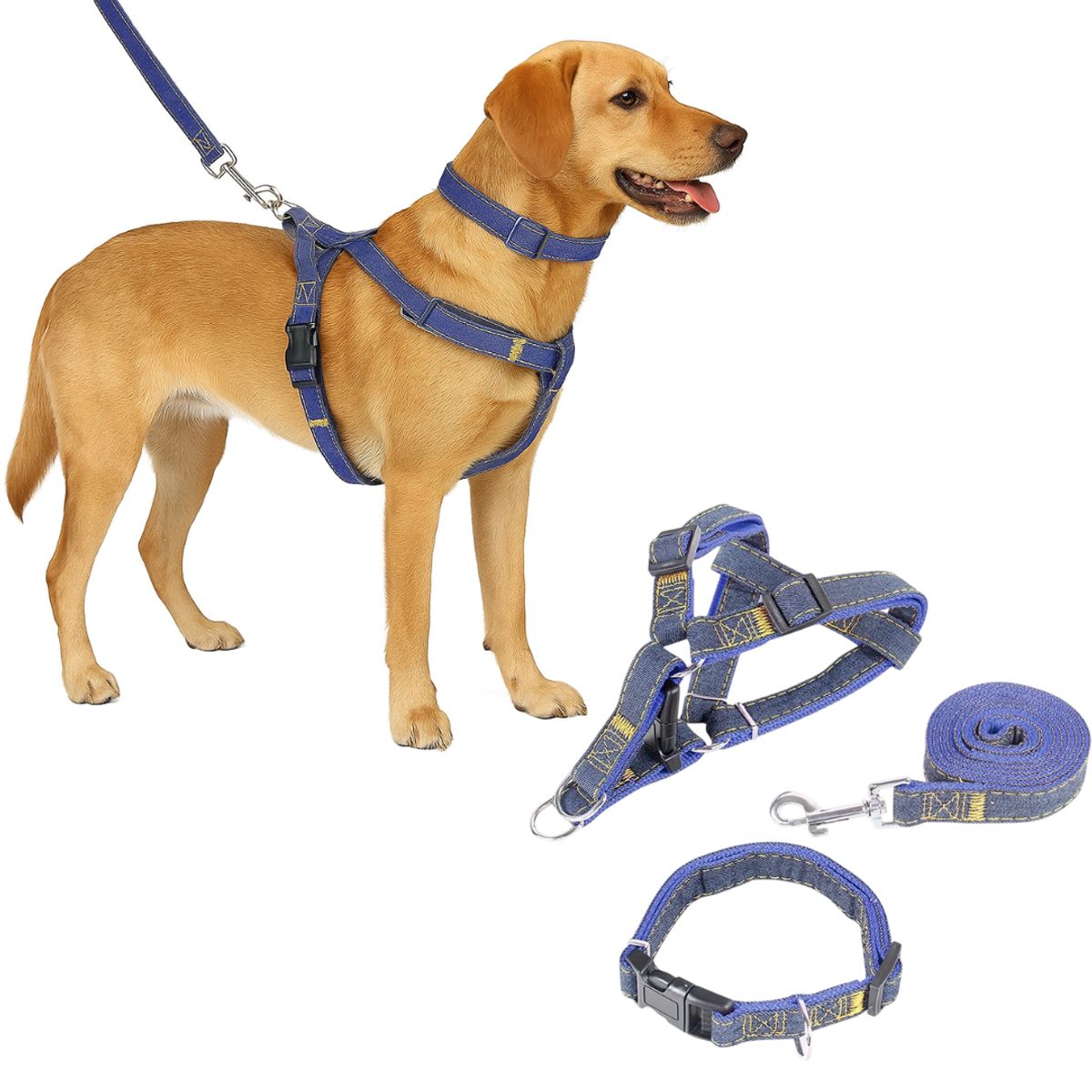 GENERICO - ARNÉS COLLAR Y CORREA DE JEAN Y AZUL PARA PERRO TALLA L