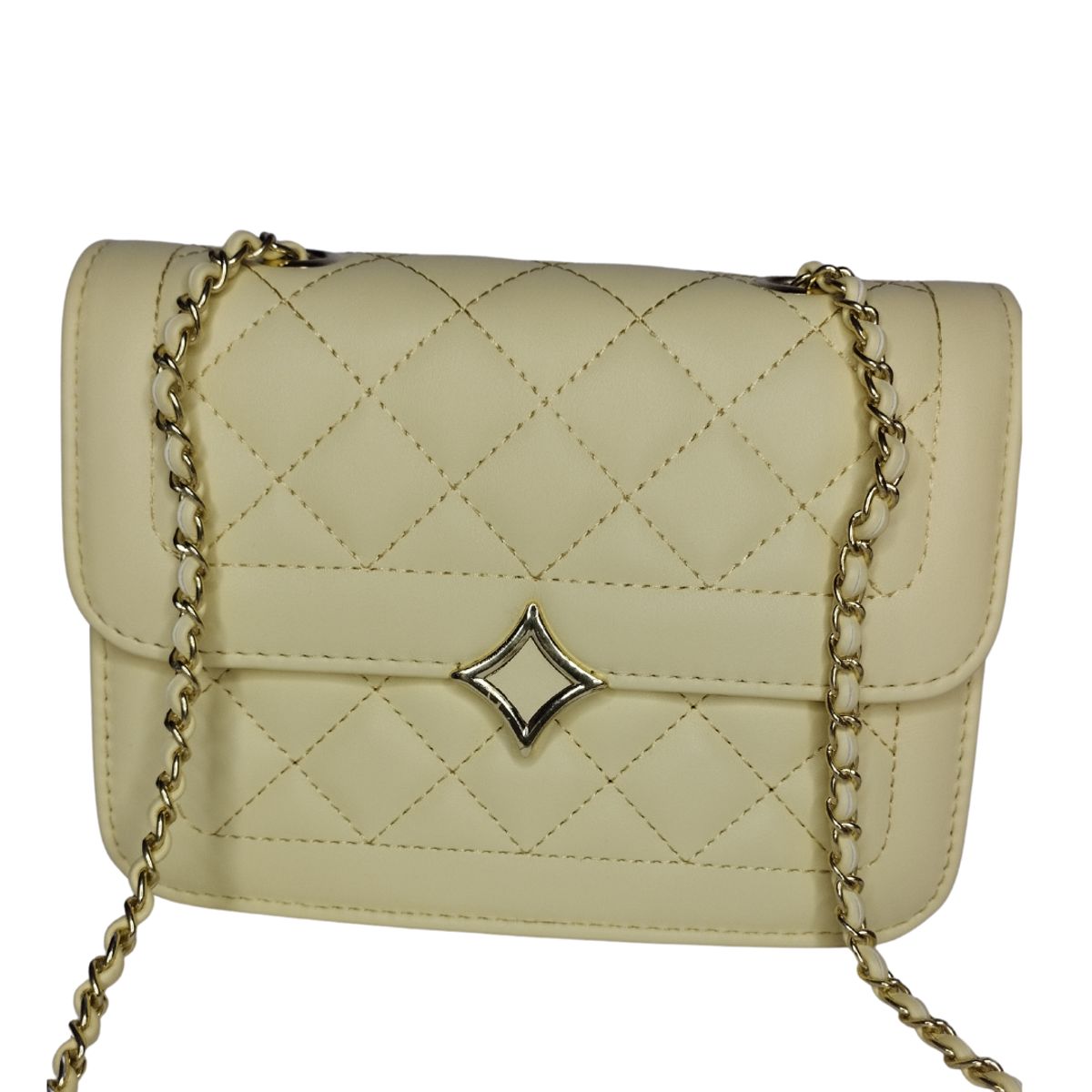 GENERICO - CARTERA  MORRAL AURORA