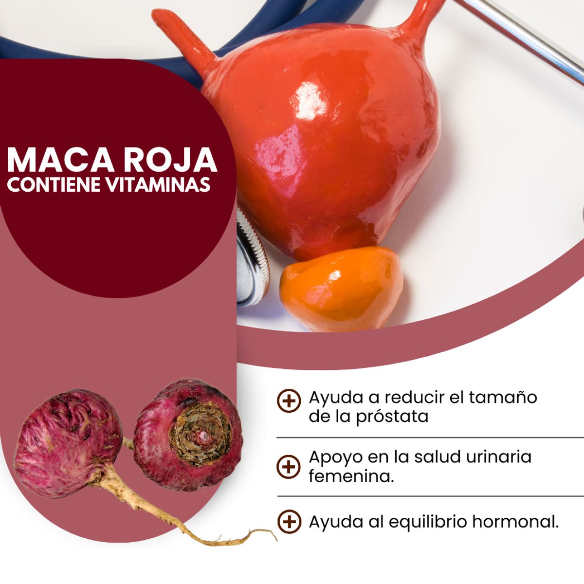 DINOA - Maca Roja Cápsulas x 100 Dinoa - Energía Natural y Bienestar Integral