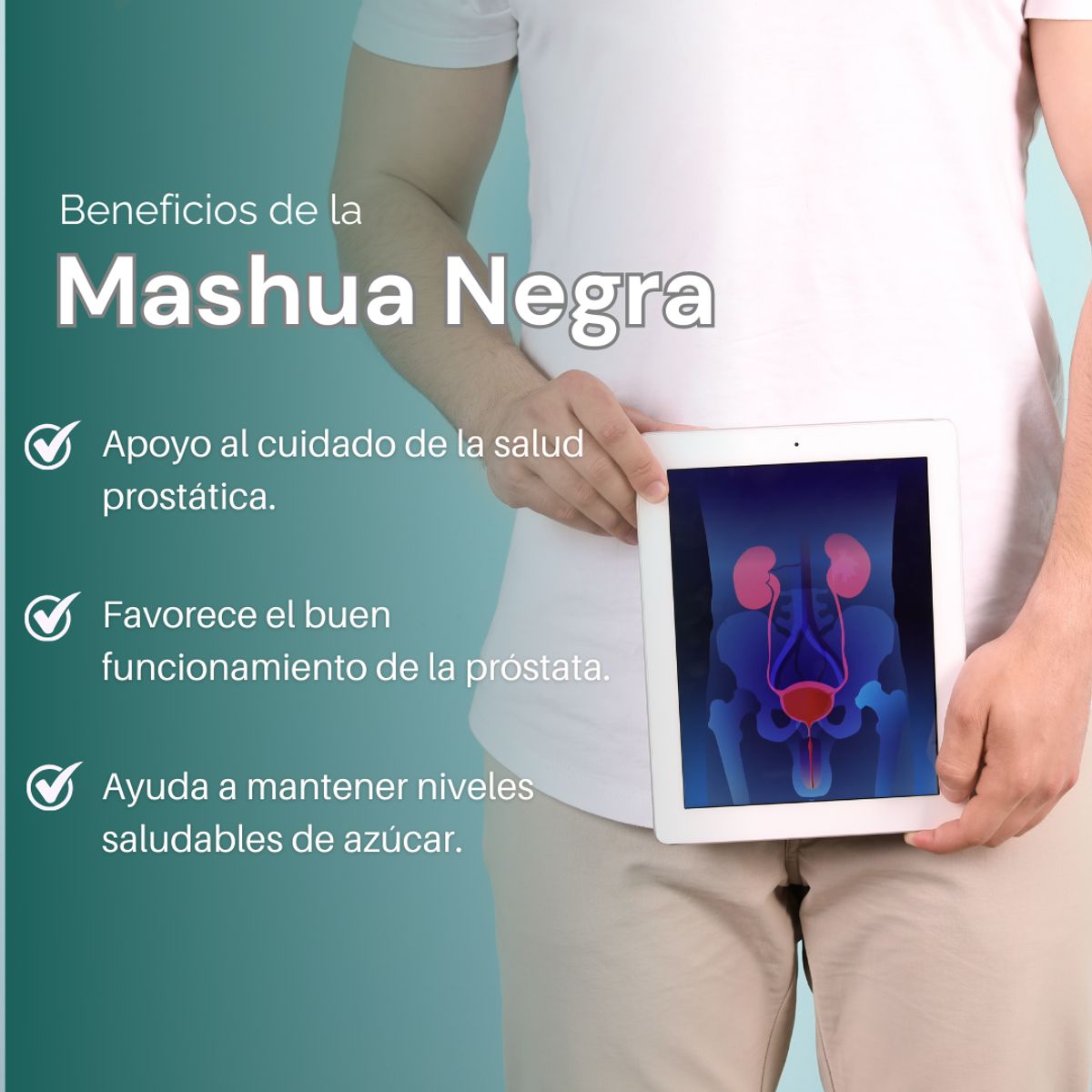 DINOA - Mashua Negra Cápsulas x 100 Dinoa - Protector prostático /Equilibrio Masculino