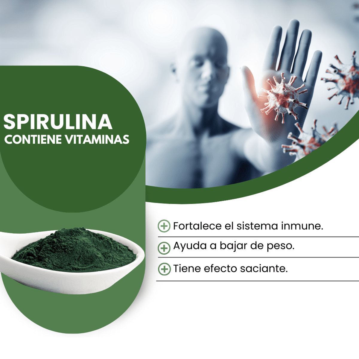 DINOA - Moringa Pote de 80gr Dinoa  -Antioxidante y Regulador Natural