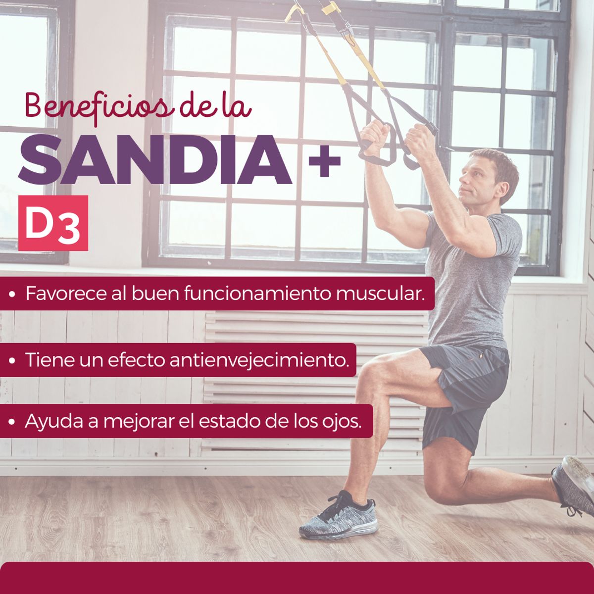 DINOA - Sandía  Pote de  80g Dinoa- Vitalidad- Salud visual