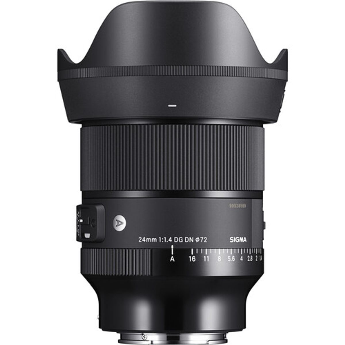 SIGMA - Sigma 24 mm f14 DG DN para Sony E Lente artística