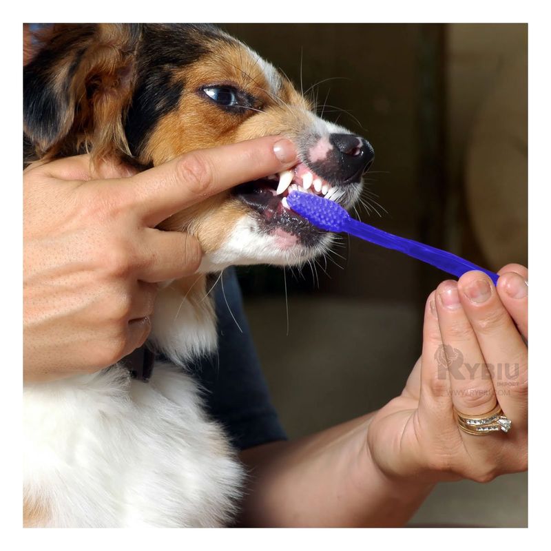 GENERICO - Kit para Limpieza Bucal de Mascotas Azul Y+Regalo Agendita