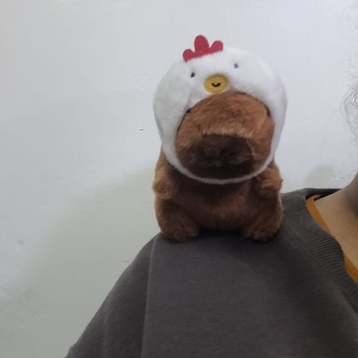 GENERICO - Capibara pollo  - Juguete magnético de peluche con hombros