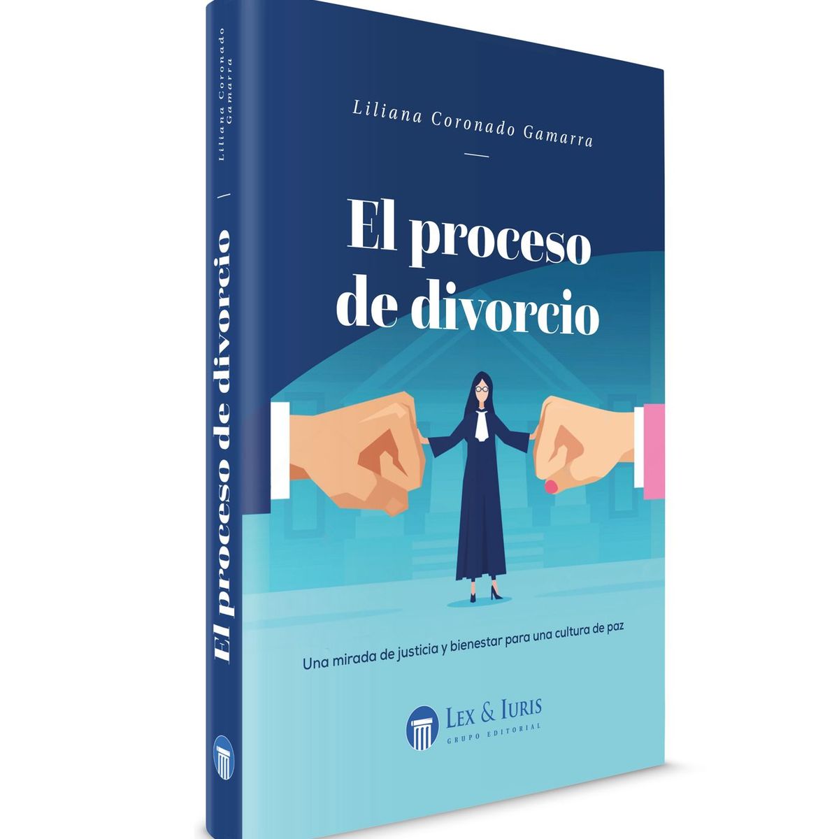 GENERICO - EL PROCESO DE DIVORCIO