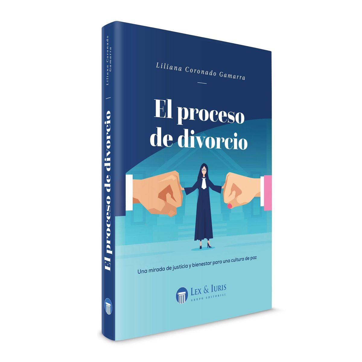 GENERICO - EL PROCESO DE DIVORCIO