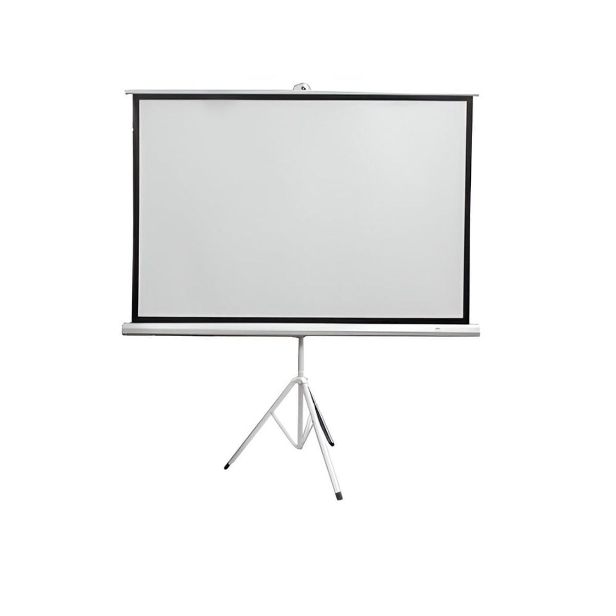TEROS - Ecran con Tripode TEROS ID-TE-9063W 156x117 mts 43 80 Blanco Mate