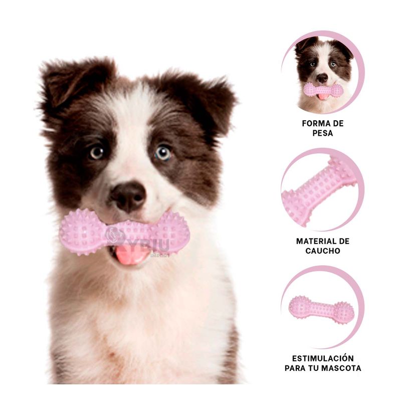 RYBIU IMPORT - Hueso de Juguete de Color Rosado Y+Envoltorio de Regalo