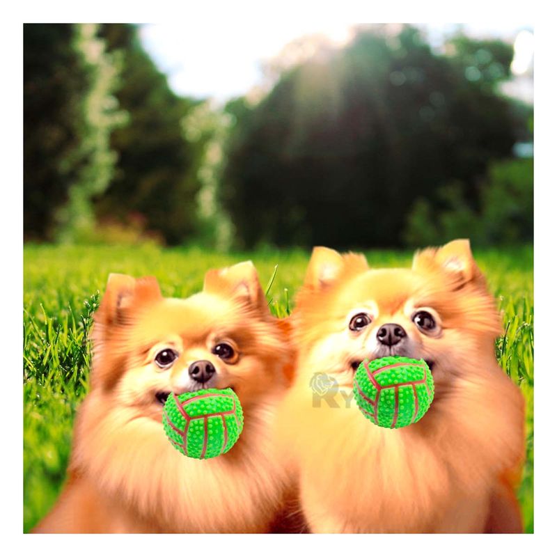 GENERICO - Balon Recreativo para Perro en Verde Y+Post-it Adhesivos