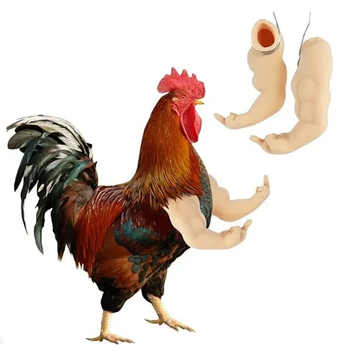 GENERICO - Broma Brazo de Juguete Cosplay Gallo Gallina