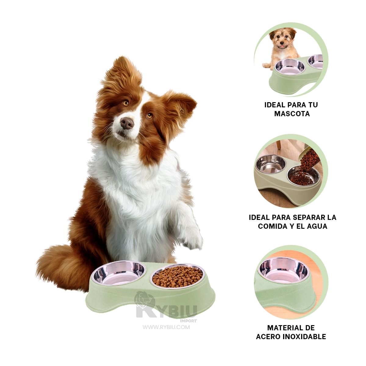 RYBIU IMPORT - Plato para Comidas de Mascotas Verde Claro Y+Gift MiniAgenda