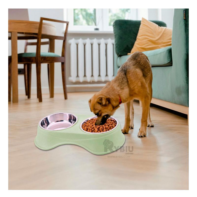 GENERICO - Tazon para Mascota en Verde Y+Regalo Ligas para Peinar