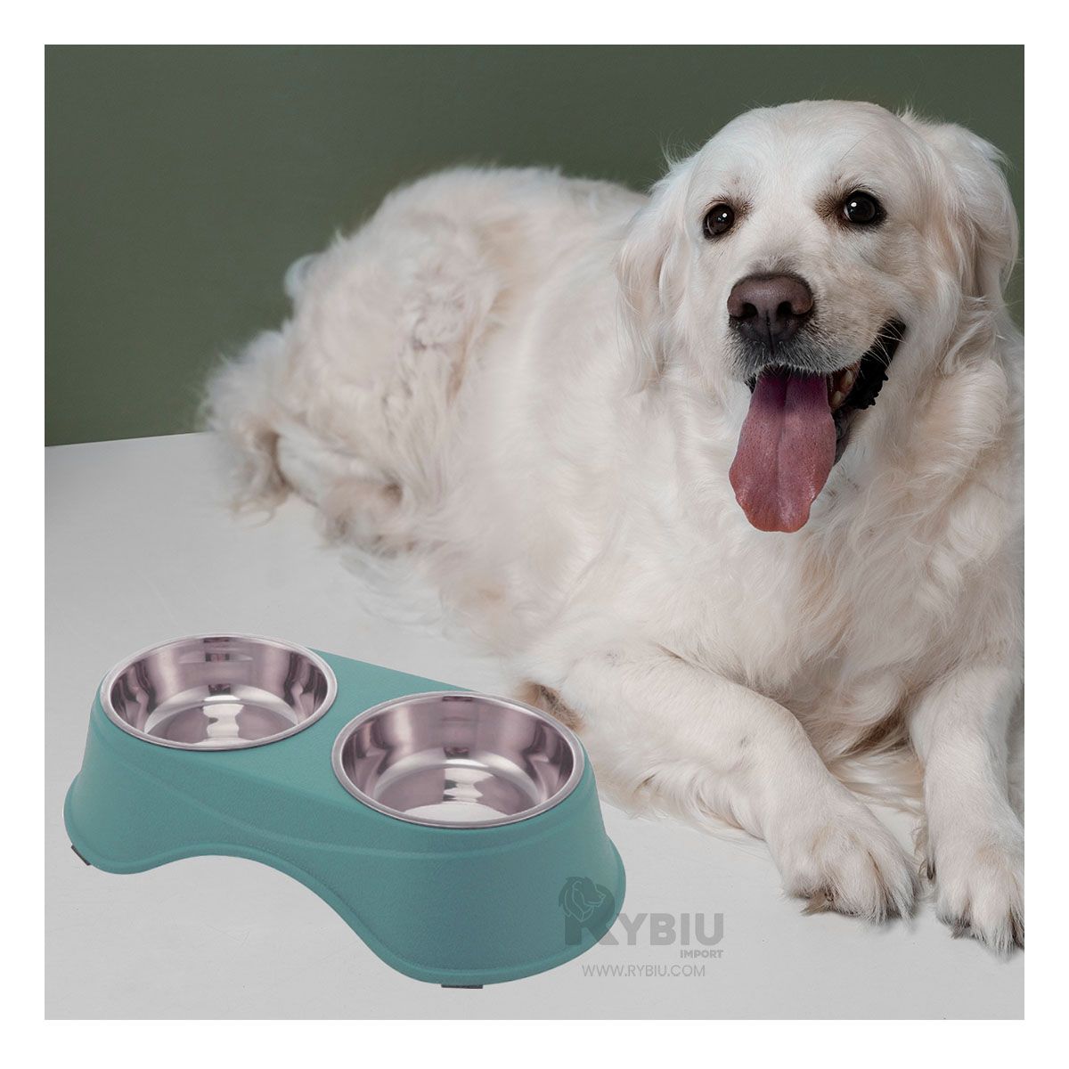 RYBIU IMPORT - Plato para Comidas de Mascotas en Celeste Y+Gift MiniAgenda