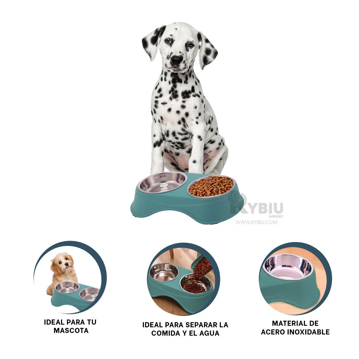 RYBIU IMPORT - Plato para Comidas de Mascotas en Celeste Y+Gift MiniAgenda