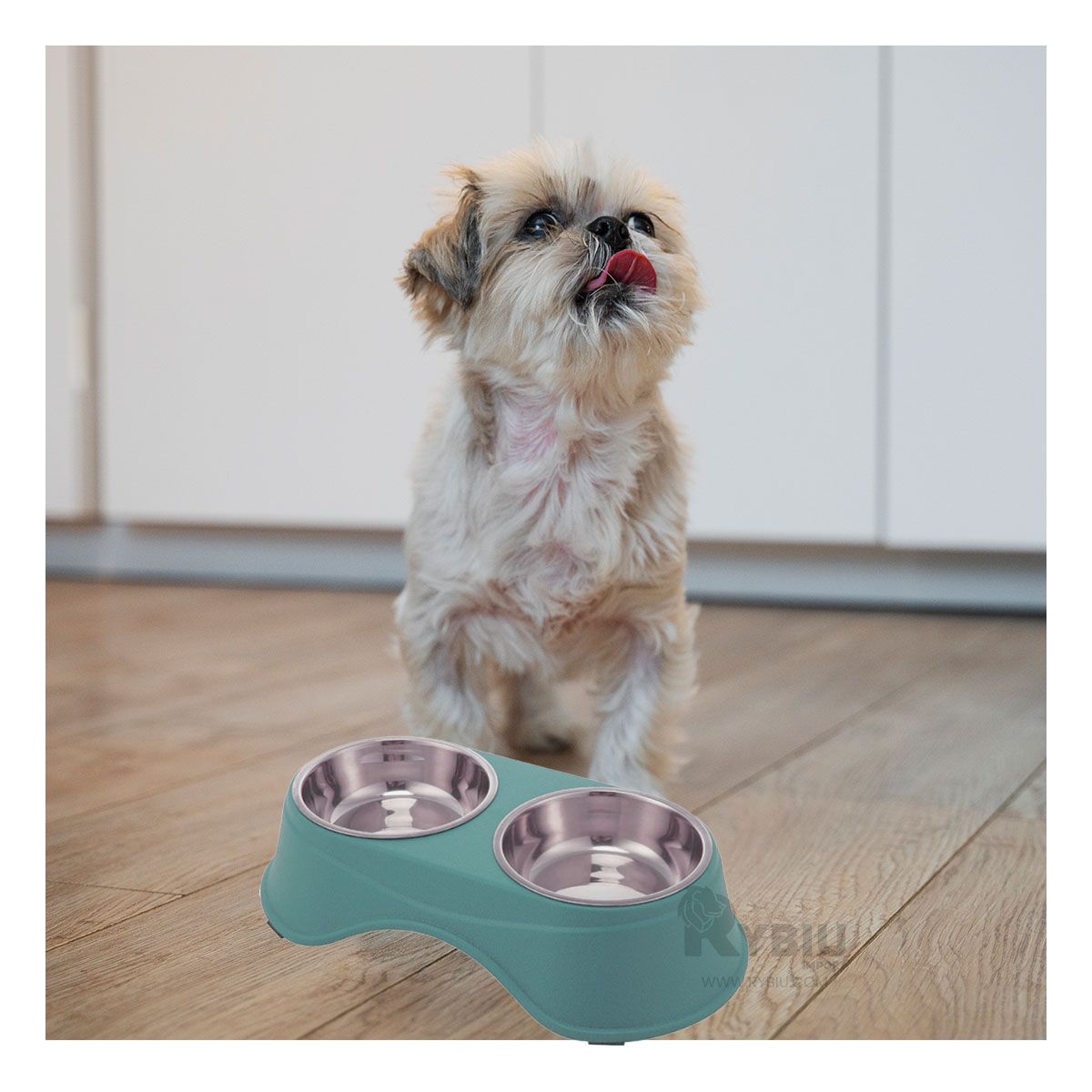 GENERICO - Comedero para Perros y Gatos Celeste Y+Papel de Regalo