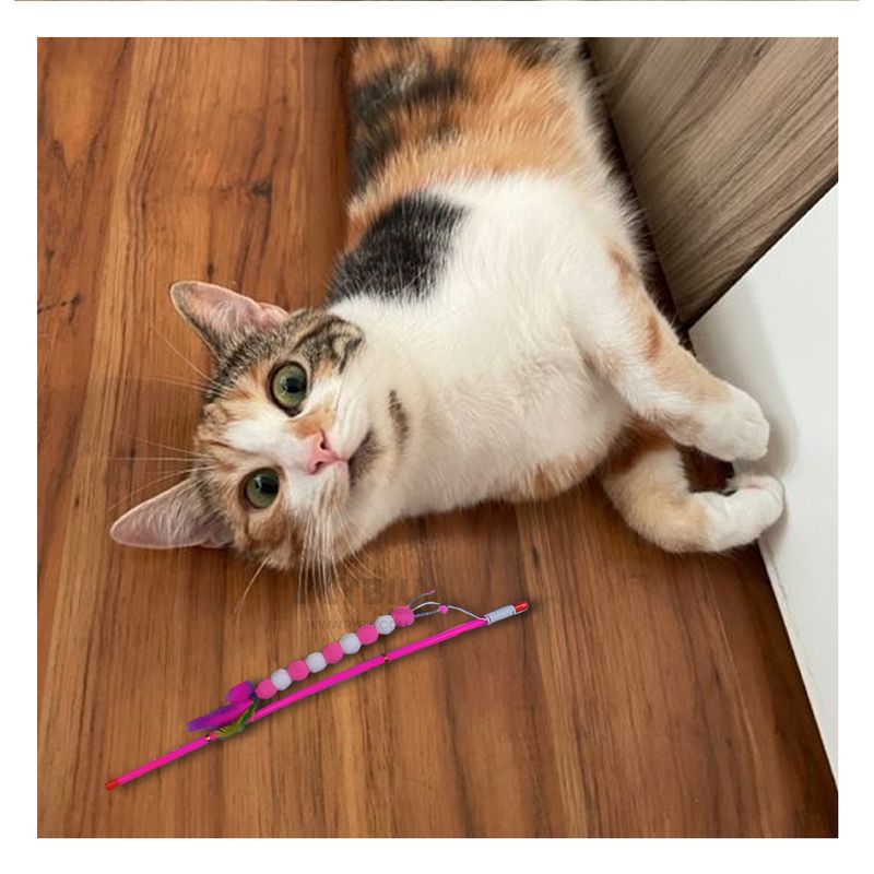 GENERICO - Varita Interactiva para Felinos en Tono Rosado Y+Agendita