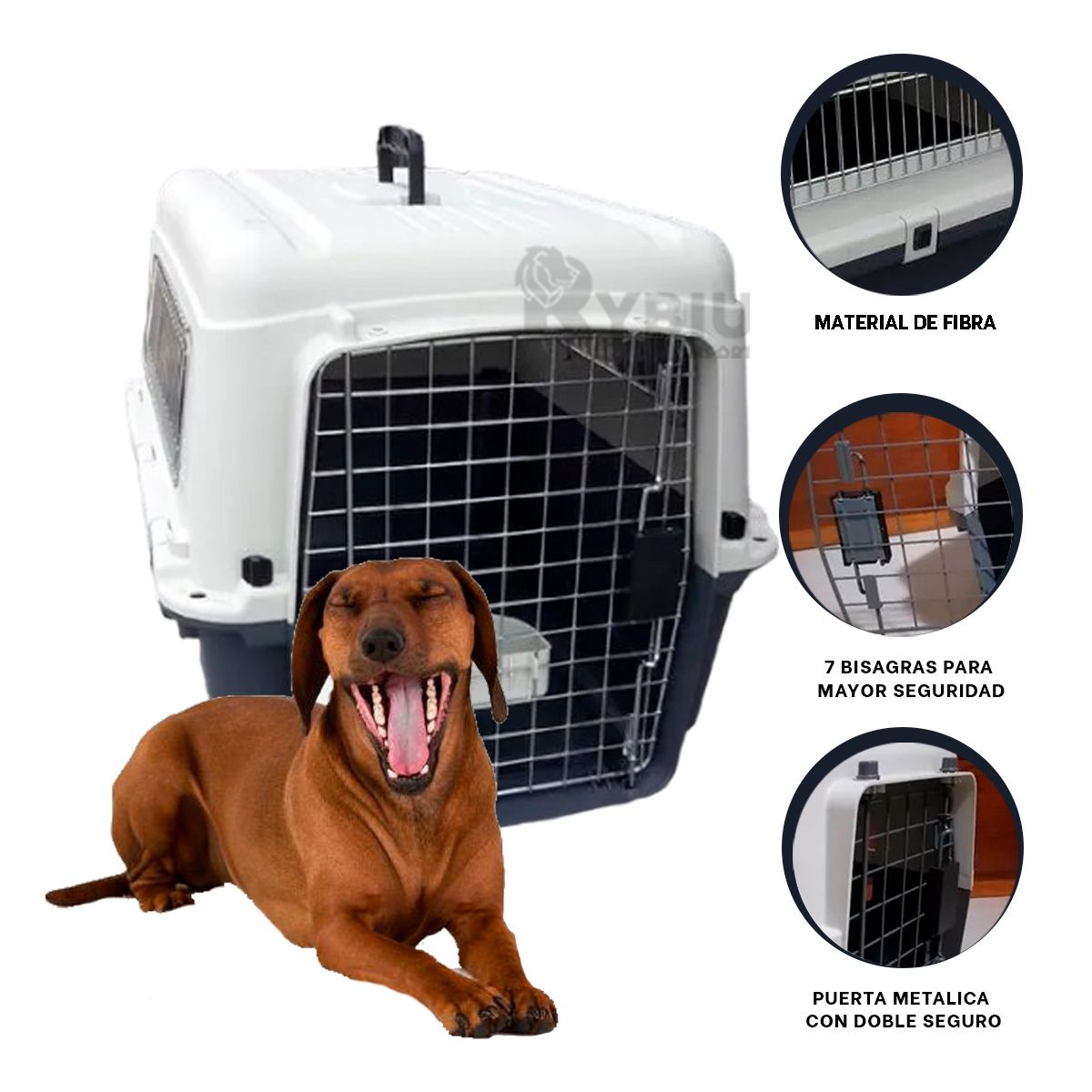 RYBIU IMPORT - Contenedor Moderno de Mascota L70 en Plomo Oscuro Y+Stickers