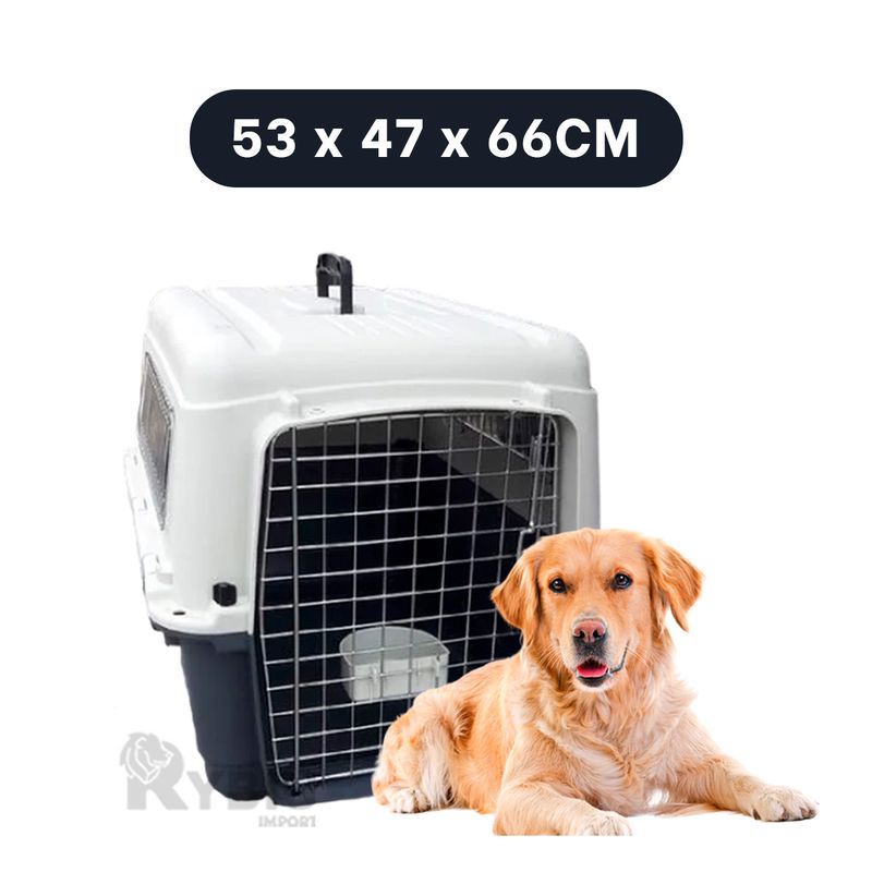 RYBIU IMPORT - Portadora para Can Plomo Oscuro Y+Regalo Ligas para Peinar