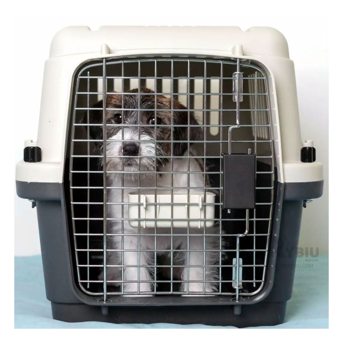 GENERICO - Transportador Rigido L50 en Plomo Oscuro Y+Papel de Regalo