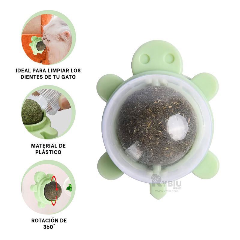 RYBIU IMPORT - Accesorio Ergonomico en Verde Y+Banderitas adhesivas