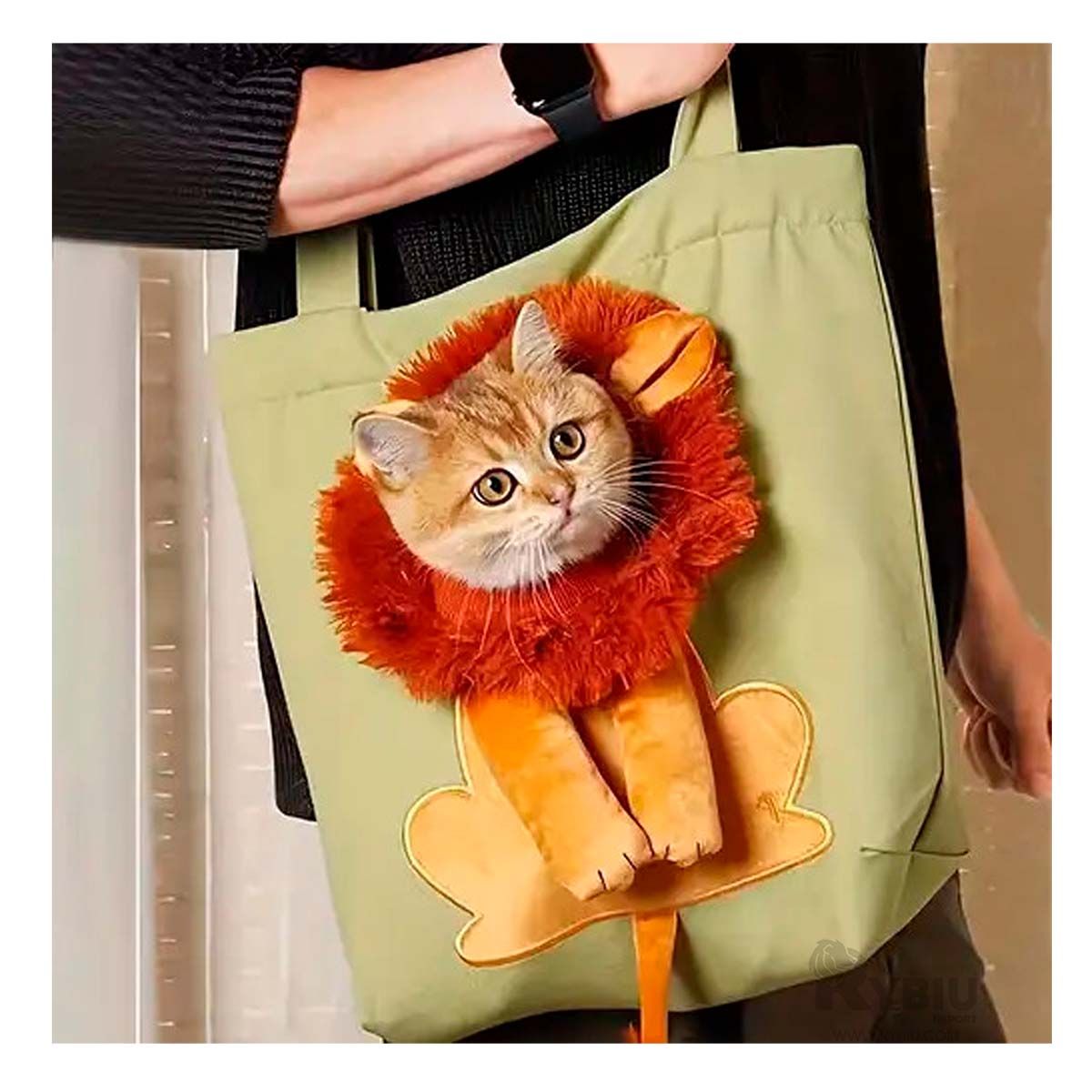 RYBIU IMPORT - Transportin de Mascotas en Verde Claro Y+Post-it Adhesivos