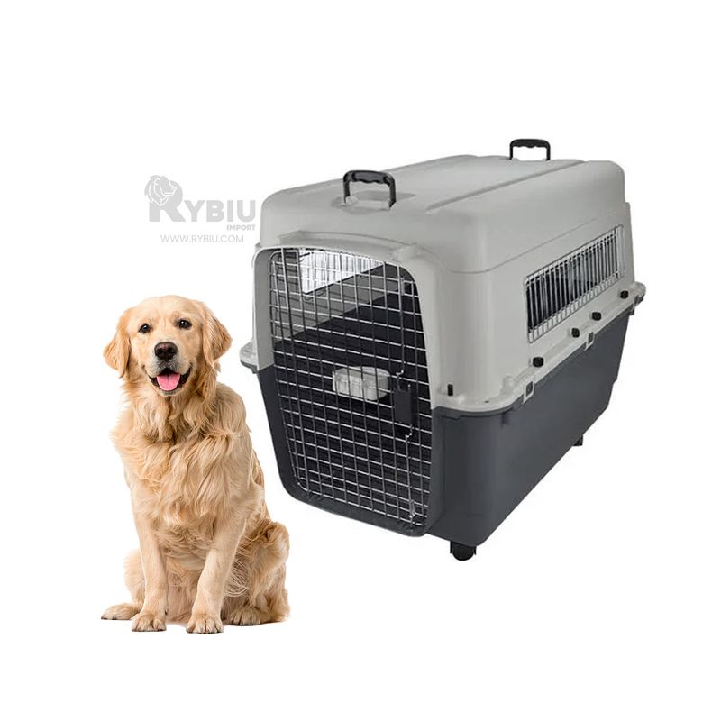 RYBIU IMPORT - Contenedor Resistente de Perro Plomo Y+Regalo Stickers