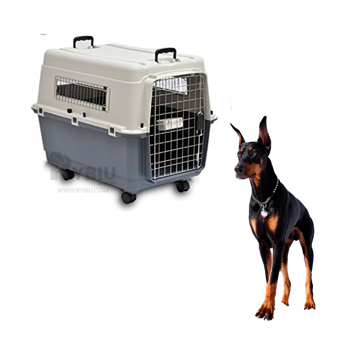 RYBIU IMPORT - Contenedor para Viaje de Mascota L90 Plomo Oscuro Y+Agendita