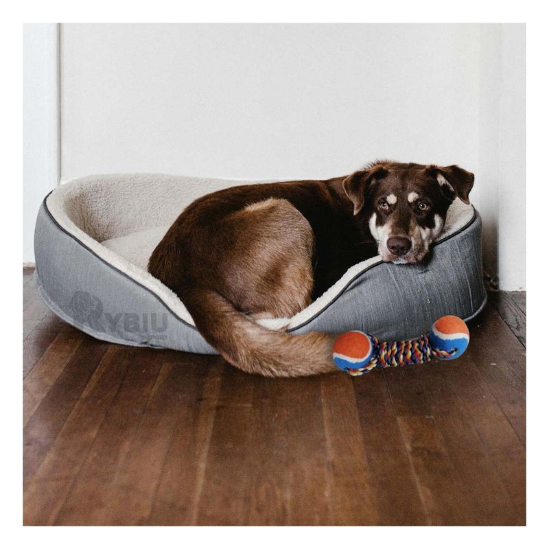 RYBIU IMPORT - Juguete Eficaz de Pelotas de Tenis Naranja Y+Papel de Regalo