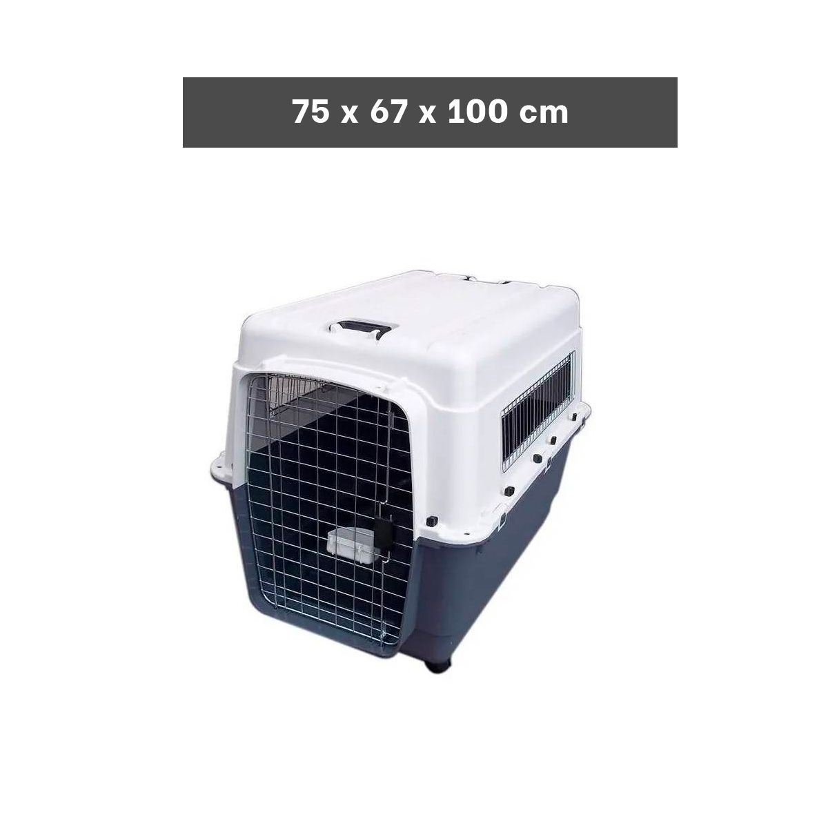 GENERICO - Portadora Practica en Plomo Y+Regalo Ligas para Peinar