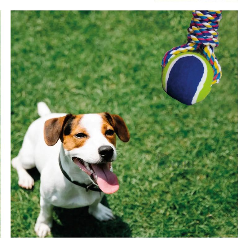 RYBIU IMPORT - Juguete de Dos Pelotas de Tenis con Cuerda de Color Azul