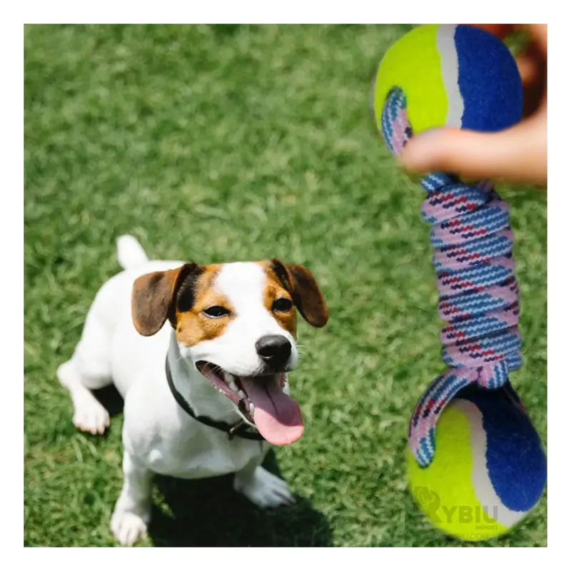 RYBIU IMPORT - Juguete de Dos Pelotas de Tenis con Cuerda en Tono Amarillo