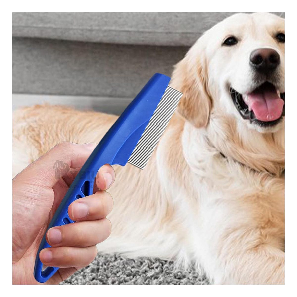 GENERICO - Peinilla de Pelaje Eficaz Color Azul Y+Ligas de Regalo